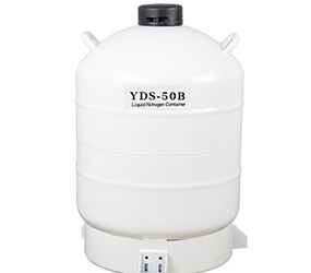 液氮運輸罐YDS-50B